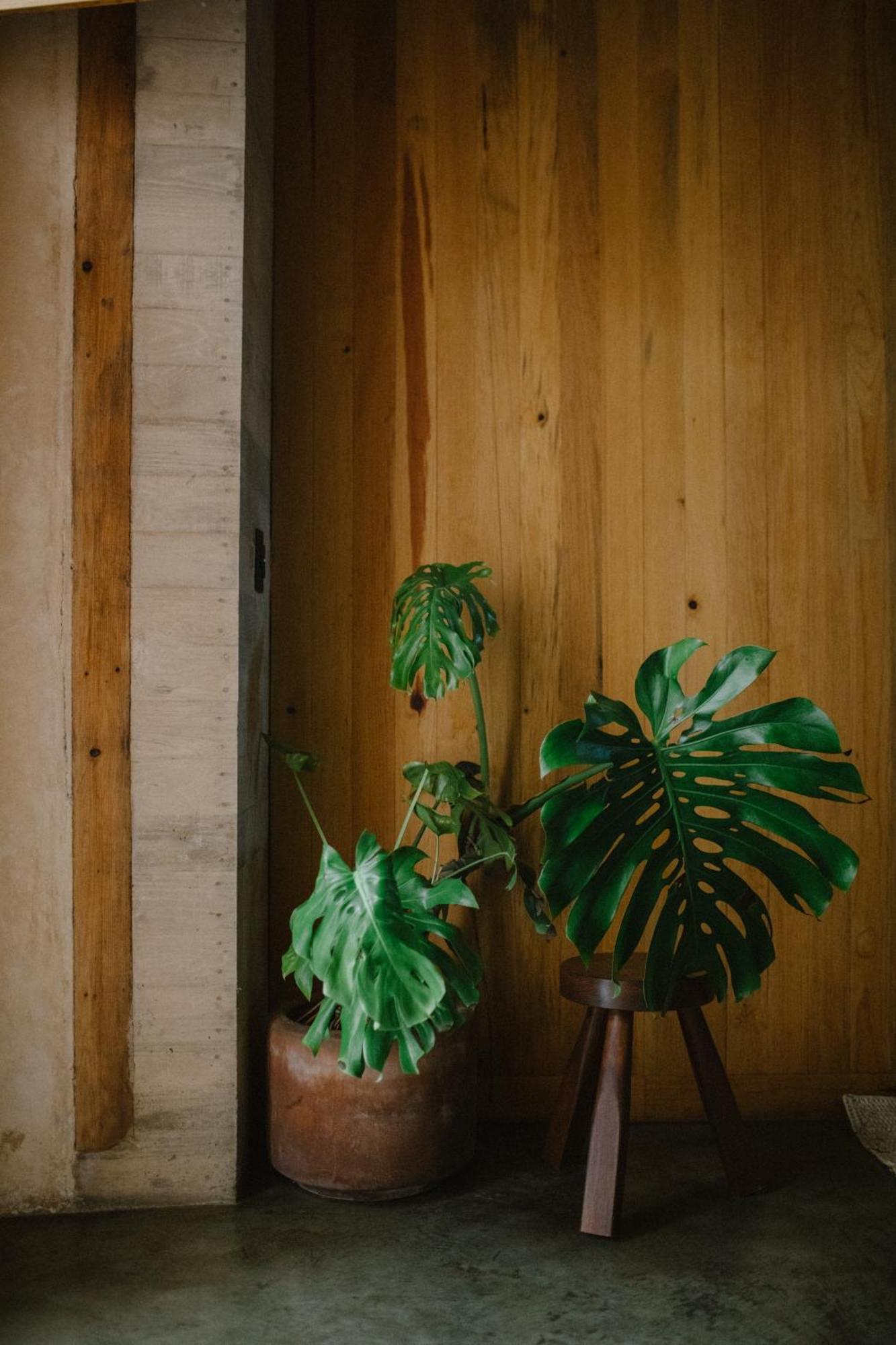 Hotel Escondido Oaxaca, A Member Of Design Hotels Buitenkant foto